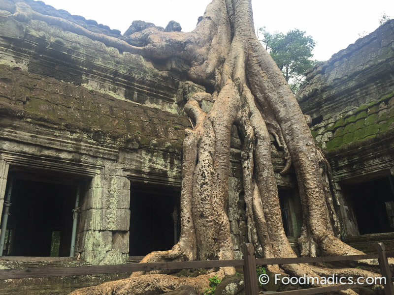 visiting_the_temples_ta_prohm_cambodia